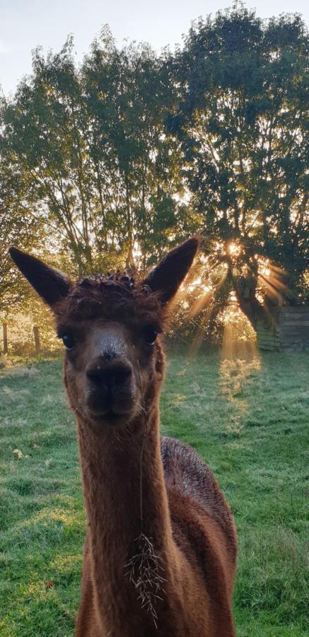 Aux Murmures De La Nature B&B Honfleur Exteriér fotografie