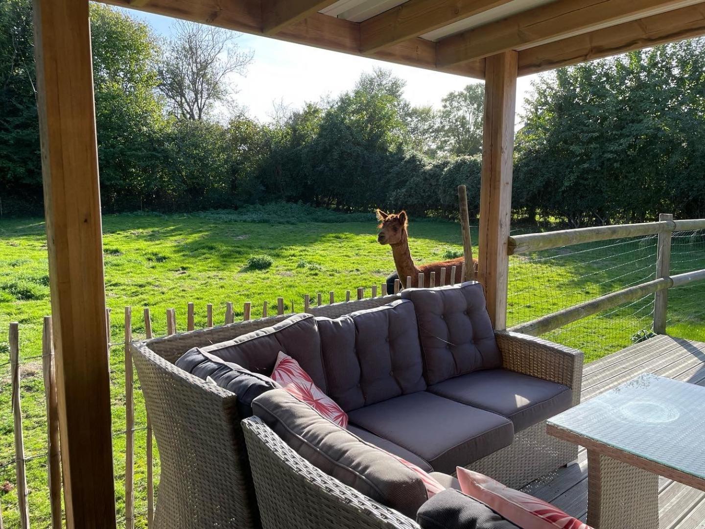 Aux Murmures De La Nature B&B Honfleur Exteriér fotografie